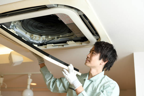 Best Affordable Duct Cleaning Services  in Pilot Point, TX